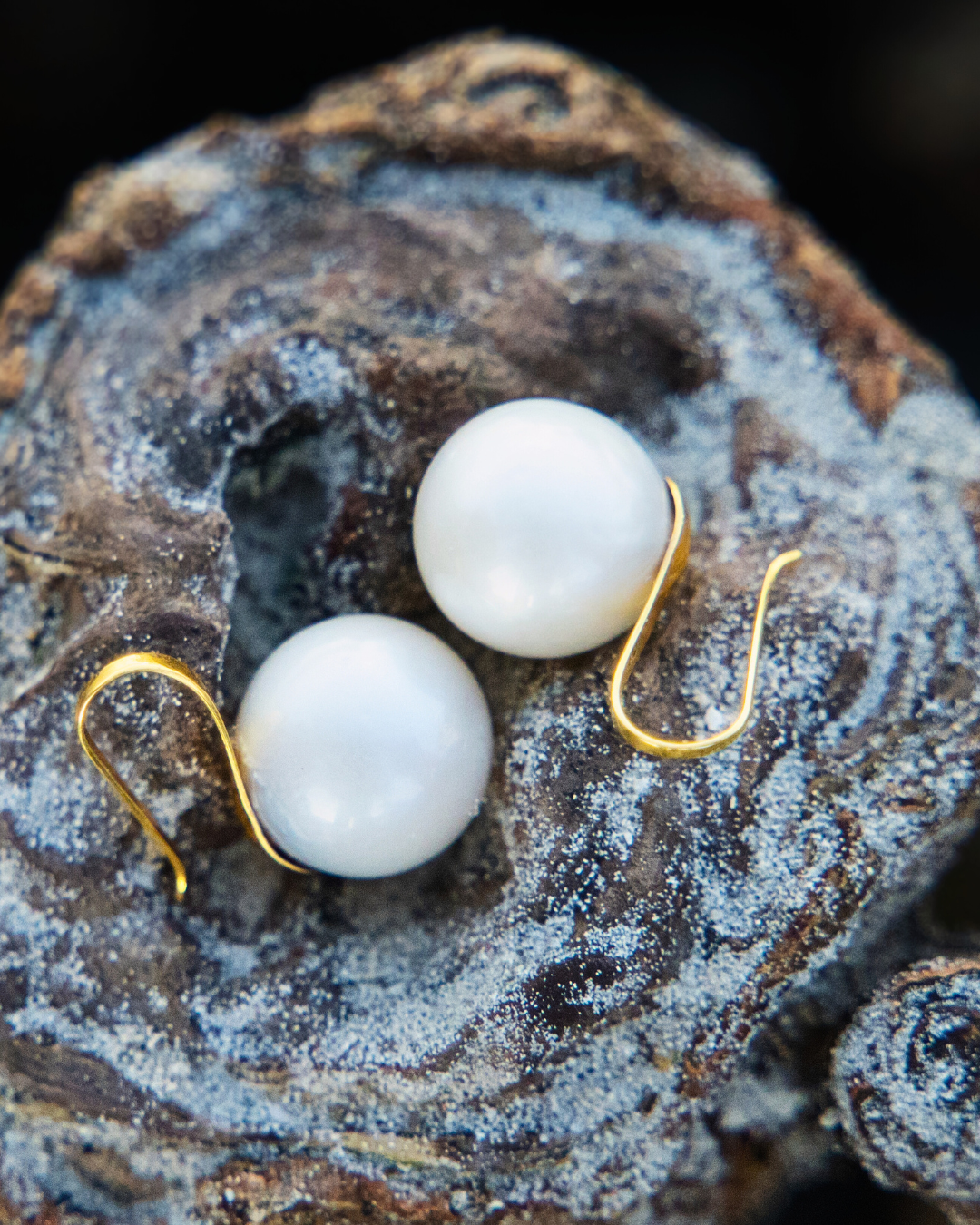 Aquapearl Agnes 14k Gold South Sea Pearl Spoon Semi Dangling Earrings