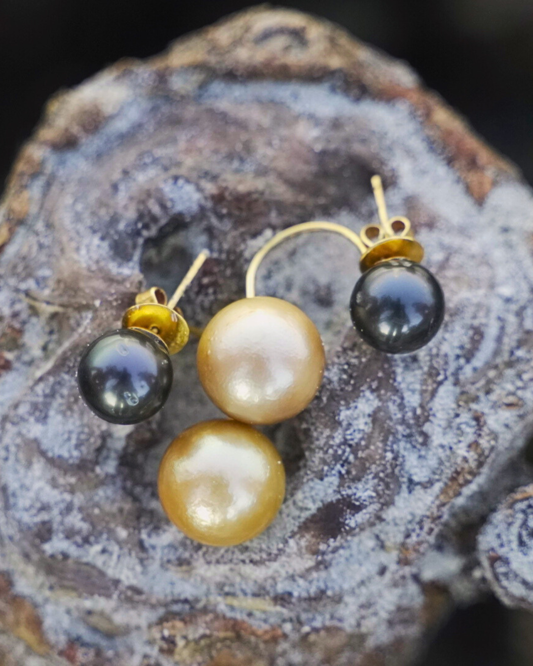 Aquapearl Almira 14k Gold South Sea Pearl Black and Gold Tribal Earrings