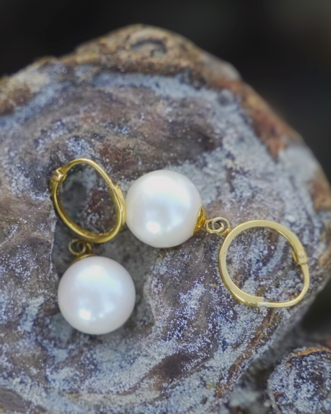 Aquapearl Augusta 14k Gold South Sea Pearl Clip Loop Earrings