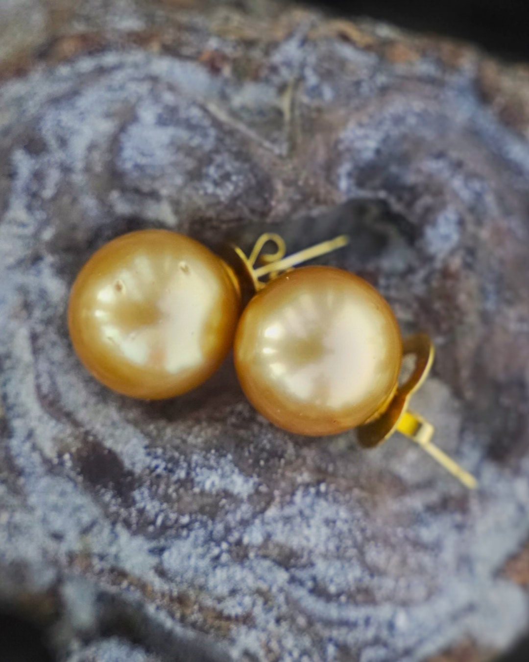 Aquapearl Azure 14k Golden South Sea Pearl Stud Earrings